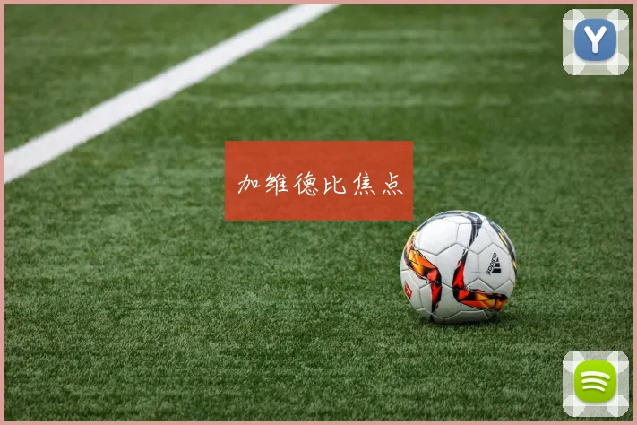加维德比焦点