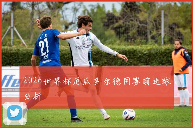2026世界杯厄瓜多尔德国赛前进球分析