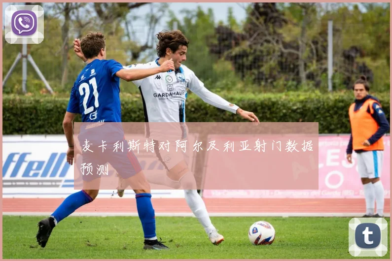 麦卡利斯特对阿尔及利亚射门数据预测