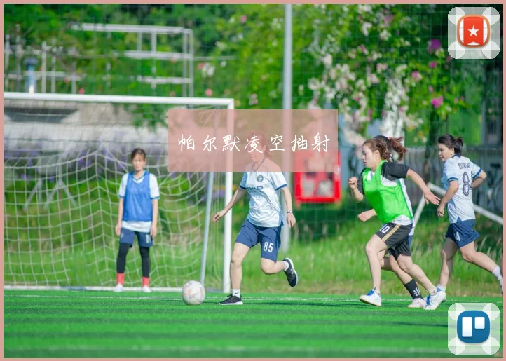 帕尔默凌空抽射