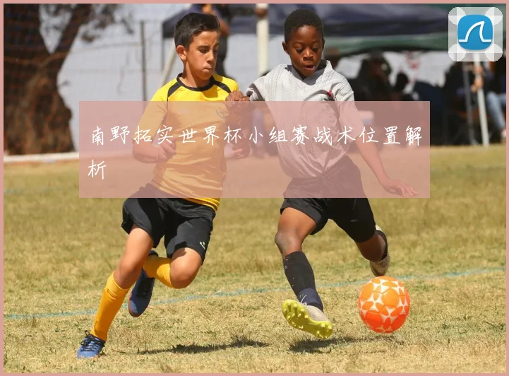 南野拓实世界杯小组赛战术位置解析