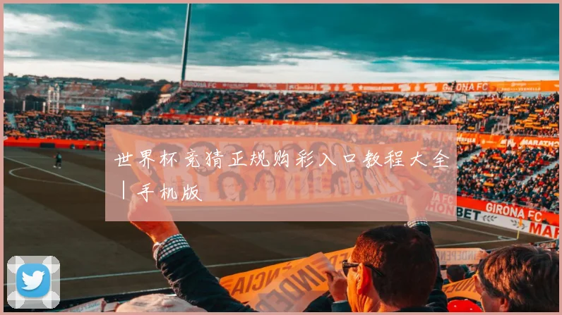 世界杯竞猜正规购彩入口教程大全｜手机版